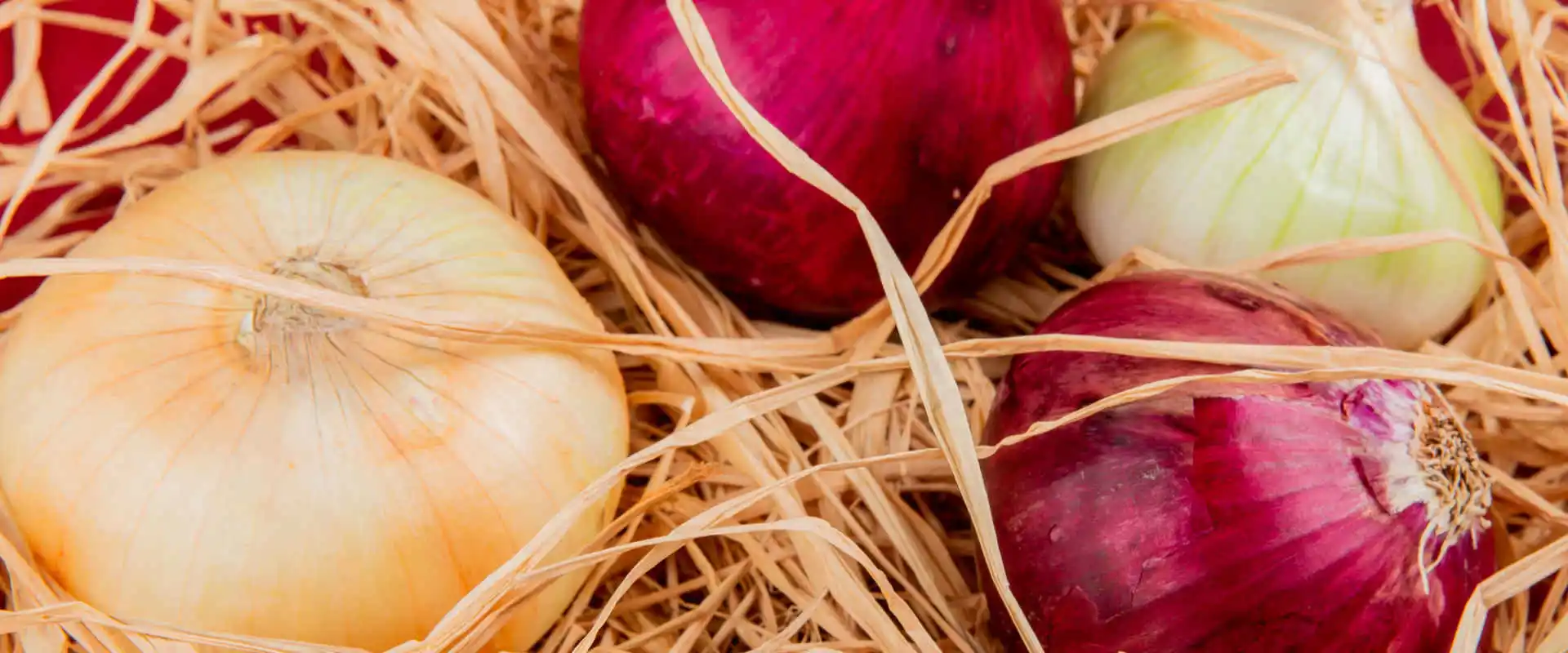 Cipolle rosse e bianche
