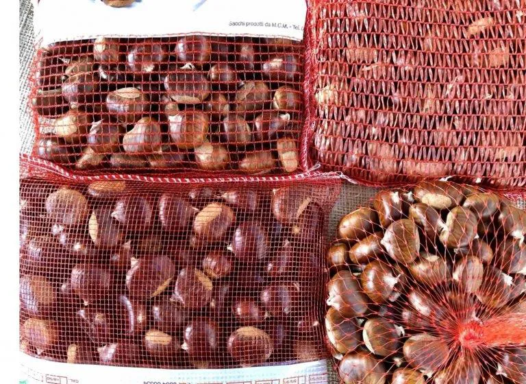 Sacchi in rete per castagne 