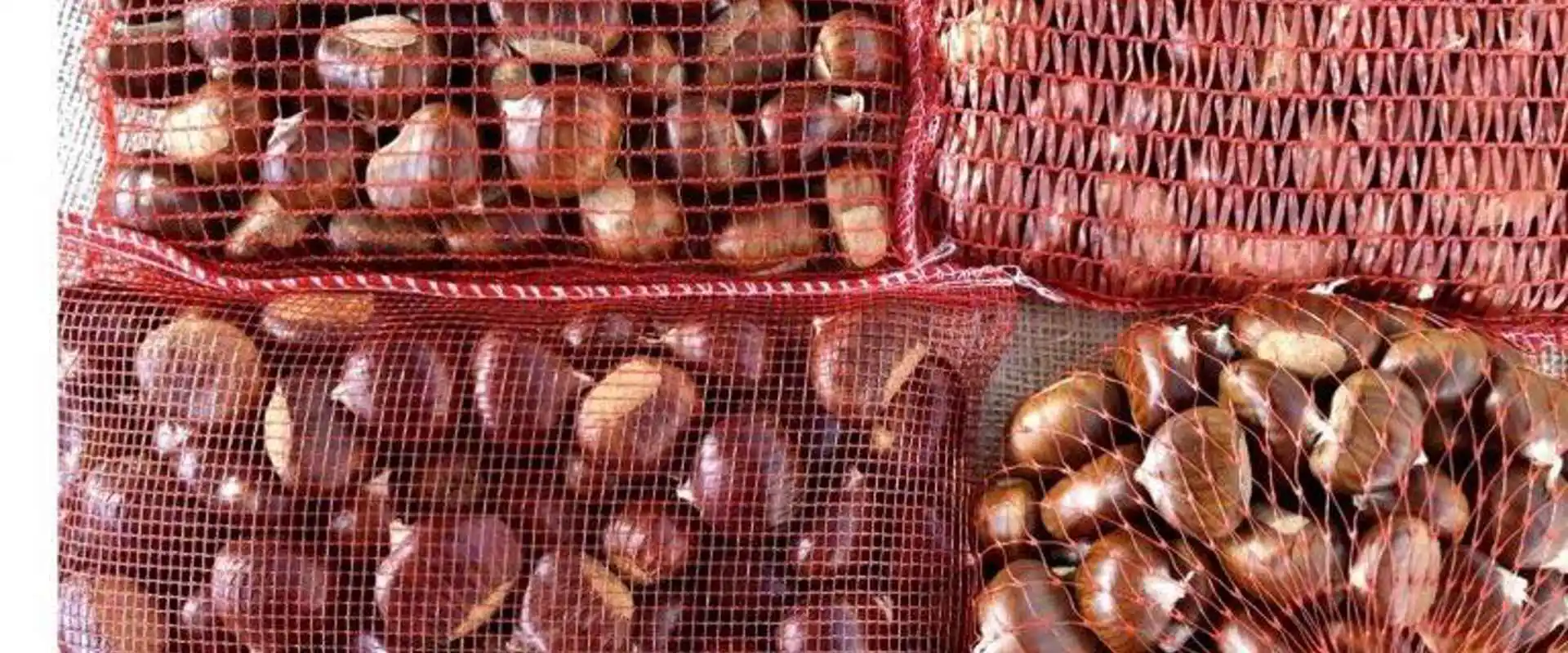 Sacchi in rete per castagne