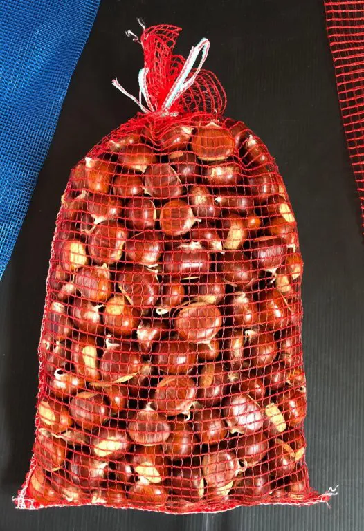 Sacchi in rete per castagne