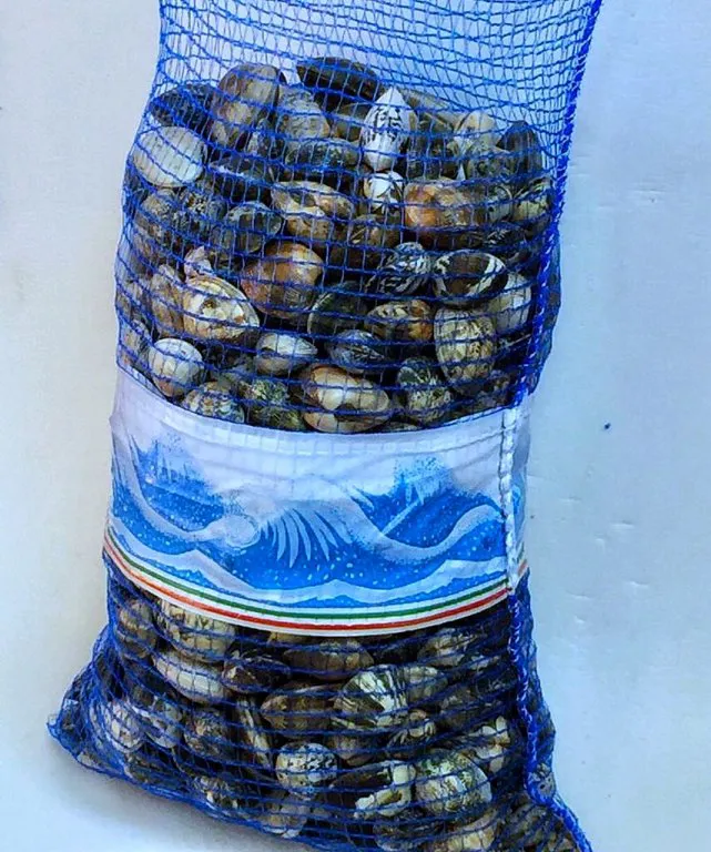 Sacchi per cozze e vongole
