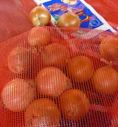 Sacchi per cipolle