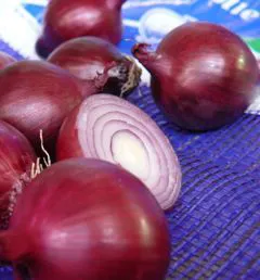 Sacchi per cipolle