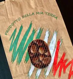 Sacchi in carta