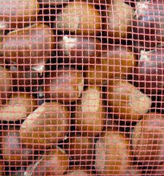 Tessuto rete giro inglese per castagne