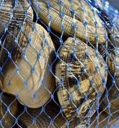 Rete tubolare per mitili cozze e vongole